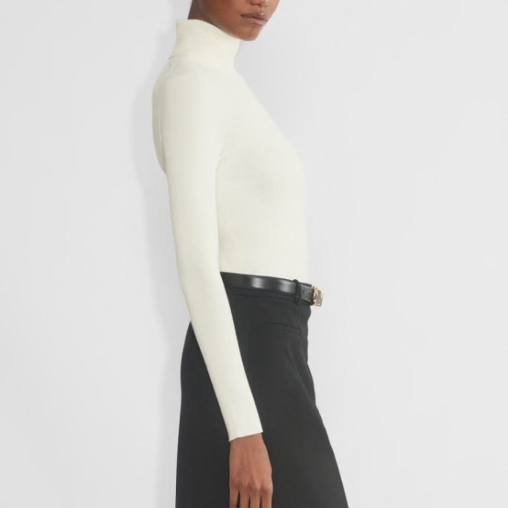 Aritzia Babaton color. Light Birch Compel Turtleneck - Picture 6 of 7
